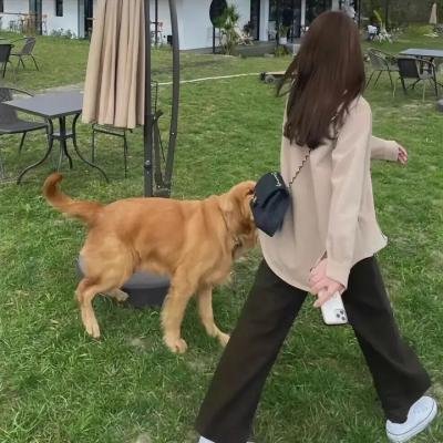 柠檬特调